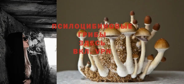 молекула духа Магас
