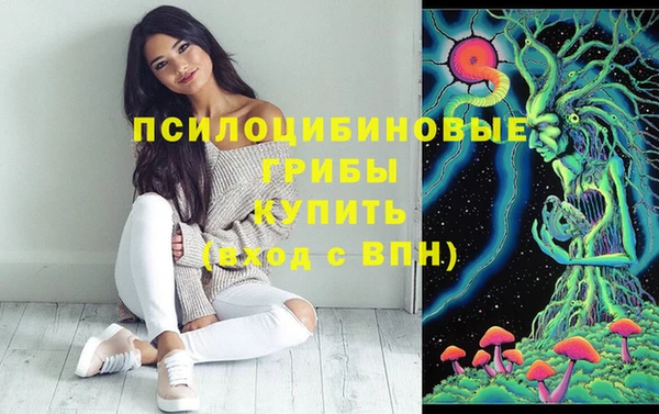ешки Медногорск